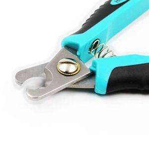 H&H best nail clippers for big dogs